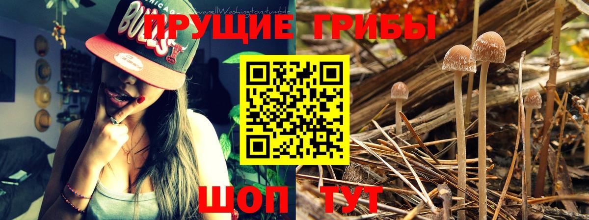 Тобольск  закладки  Вход с VPN  Псилоцибиновые грибы Magic Shrooms 